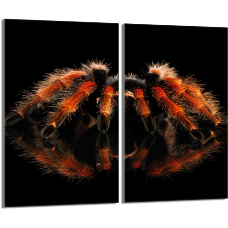 Piastra protettiva in vetro per stufa 2x30x52 Spider