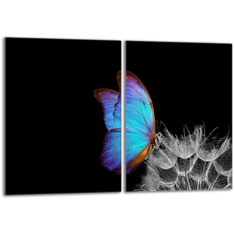 Piastra protettiva in vetro per stufa 2x40x52 Butterfly
