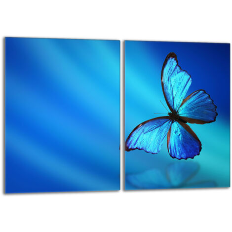 Piastra protettiva in vetro per stufa 2x40x52 Butterfly
