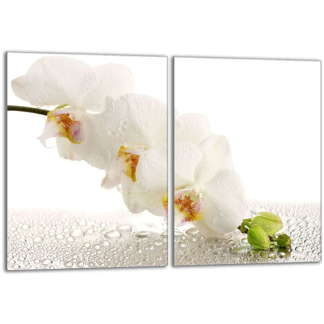 Piastra protettiva in vetro per stufa 2x40x52 Orchidea