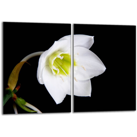Piastra protettiva in vetro per stufa 2x40x52 Orchidea