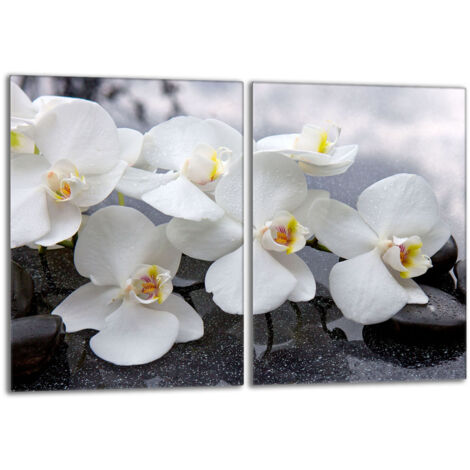 Piastra protettiva in vetro per stufa 2x40x52 Orchidea