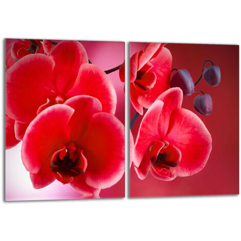 Piastra protettiva in vetro per stufa 2x40x52 Orchidea