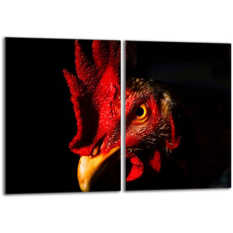 Piastra protettiva in vetro per stufa 2x40x52 Rooster