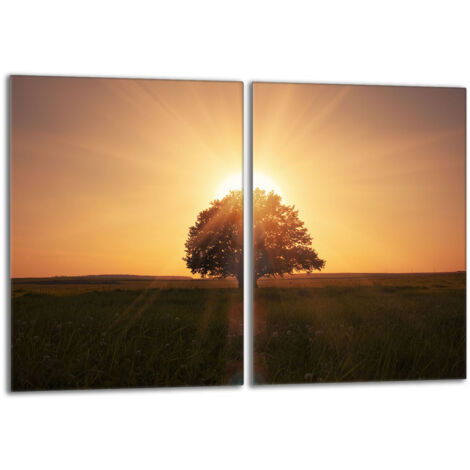 Piastra protettiva in vetro per stufa 2x40x52 Tree