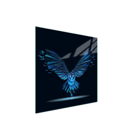 PIASTRA PROTETTIVA IN VETRO PER STUFA 50x52 BIRD