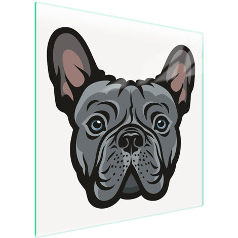 PIASTRA PROTETTIVA IN VETRO PER STUFA 50x52 CANE