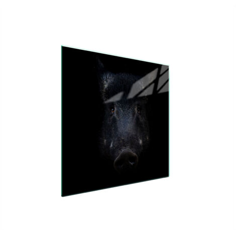 PIASTRA PROTETTIVA IN VETRO PER STUFA 50x52 CINGHIALE