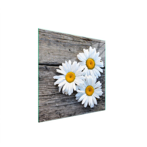 PIASTRA PROTETTIVA IN VETRO PER STUFA 50x52 DAISY