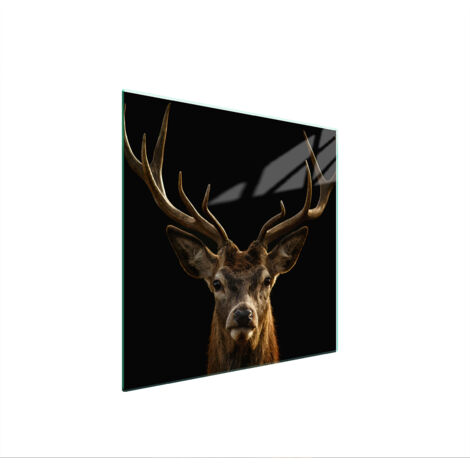 PIASTRA PROTETTIVA IN VETRO PER STUFA 50x52 DEER