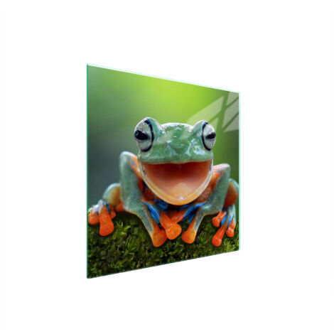 PIASTRA PROTETTIVA IN VETRO PER STUFA 50x52 FROG
