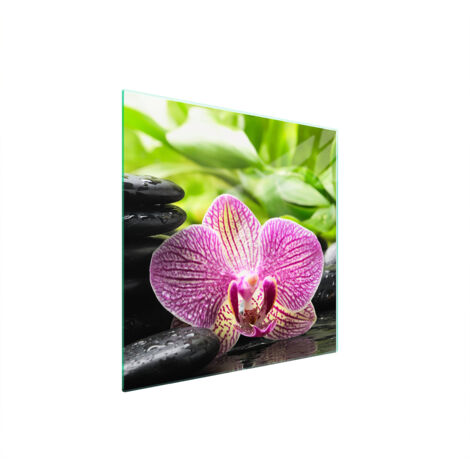 PIASTRA PROTETTIVA IN VETRO PER STUFA 50x52 ORCHIDEA