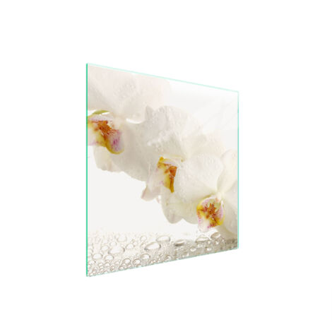 PIASTRA PROTETTIVA IN VETRO PER STUFA 50x52 ORCHIDEA