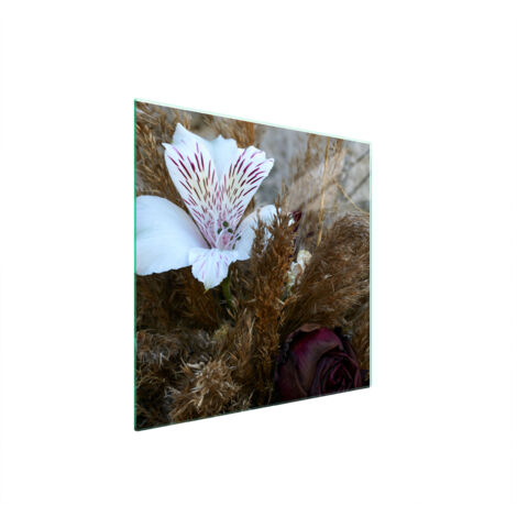 PIASTRA PROTETTIVA IN VETRO PER STUFA 50x52 ORCHIDEA