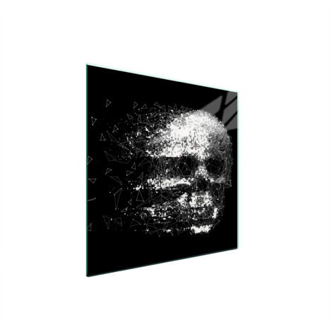 PIASTRA PROTETTIVA IN VETRO PER STUFA 50x52 SKULL