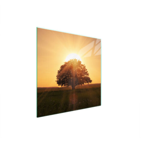 PIASTRA PROTETTIVA IN VETRO PER STUFA 50x52 TREE