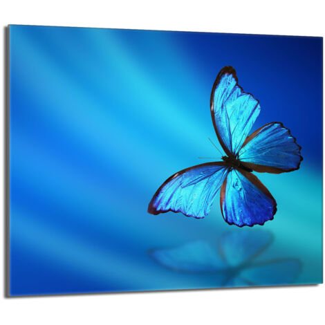 Piastra protettiva in vetro per stufa 60x52 Butterfly