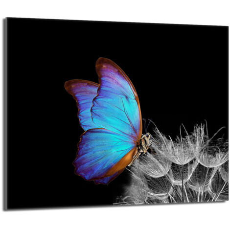 Piastra protettiva in vetro per stufa 60x52 Butterfly