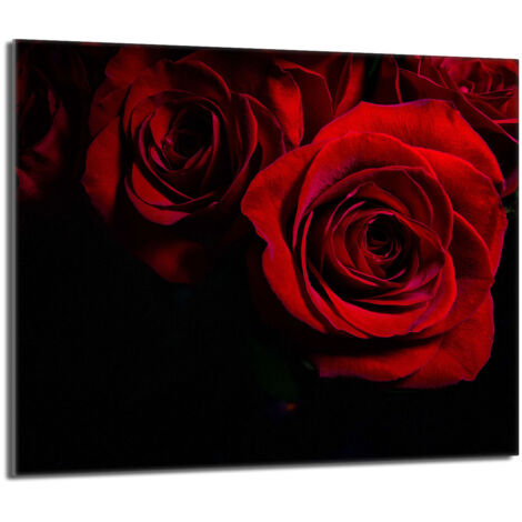 Piastra protettiva in vetro per stufa 60x52 Rose