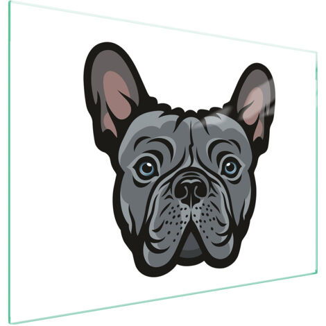 PIASTRA PROTETTIVA IN VETRO PER STUFA 70x52 DOG