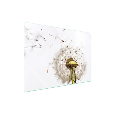 PIASTRA PROTETTIVA IN VETRO PER STUFA 70x52 FLOWER