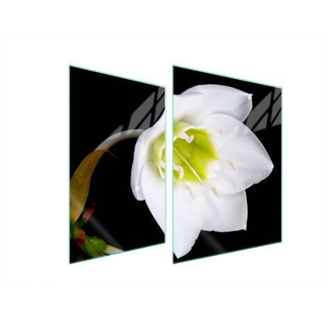 PIASTRA PROTETTIVA IN VETRO PER STUFA 70x52 ORCHIDEA