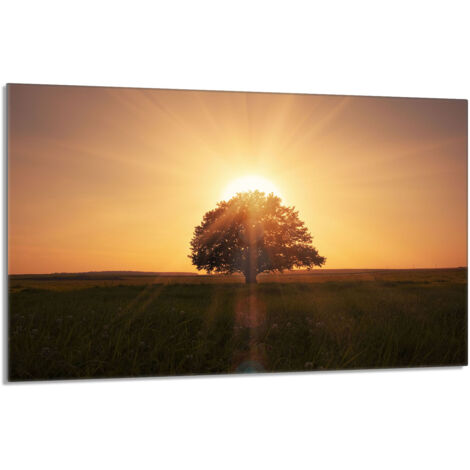 Piastra protettiva in vetro per stufa 80x52 Tree