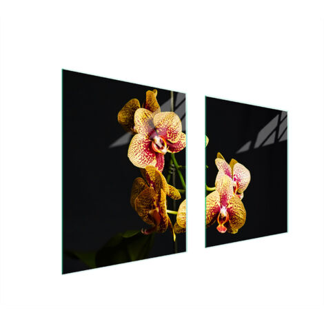 PIASTRA PROTETTIVA IN VETRO PER STUFA 85x52 ORCHIDEA