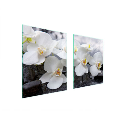 PIASTRA PROTETTIVA IN VETRO PER STUFA 85x52 ORCHIDEA