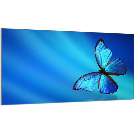 Piastra protettiva in vetro per stufa 90x52 Butterfly