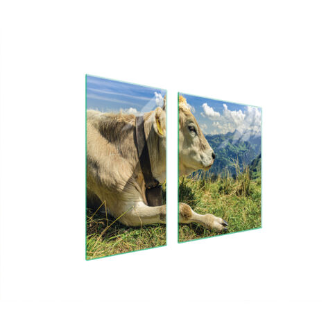 PIASTRA PROTETTIVA IN VETRO PER STUFA 90x52 COW