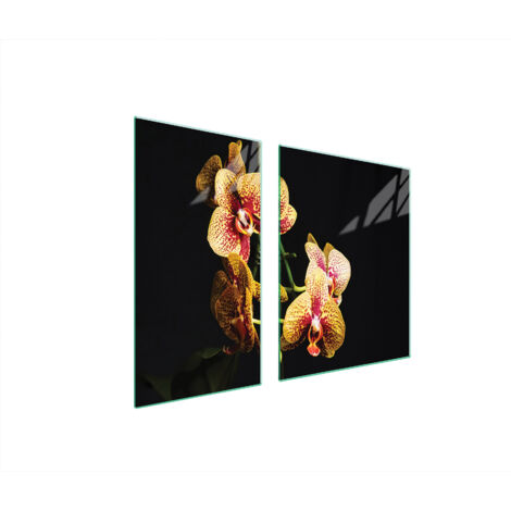 PIASTRA PROTETTIVA IN VETRO PER STUFA 90x52 ORCHIDEA
