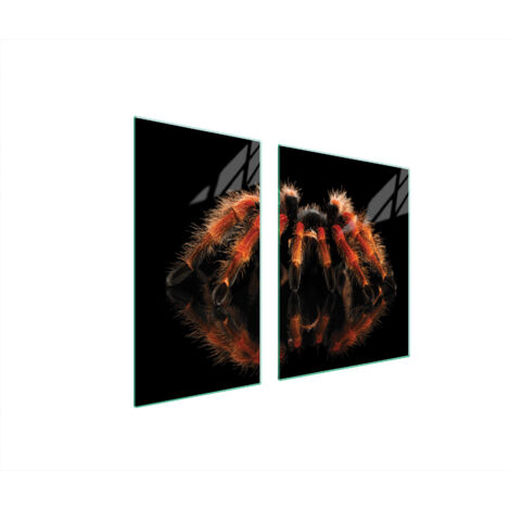 PIASTRA PROTETTIVA IN VETRO PER STUFA 90x52 SPIDER