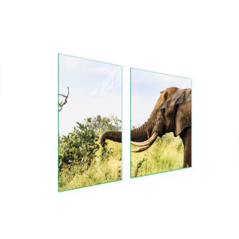 PIATTO E TAGLIERE IN VETRO 100x52 ELEFANTE