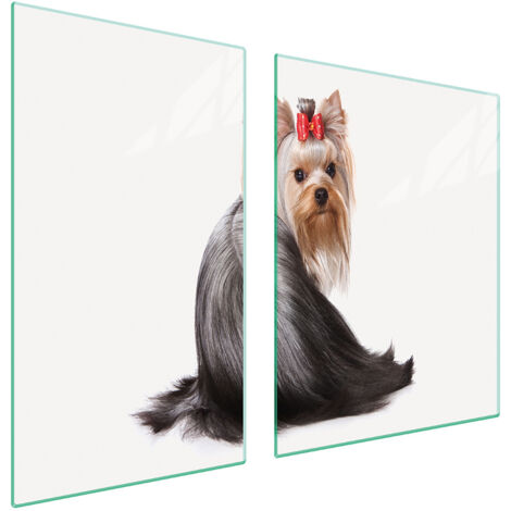 PIATTO IN VETRO e TAGLIERE 100x52 CANE