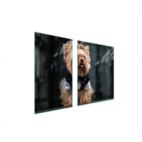 PIATTO IN VETRO e TAGLIERE 100x52 CANE
