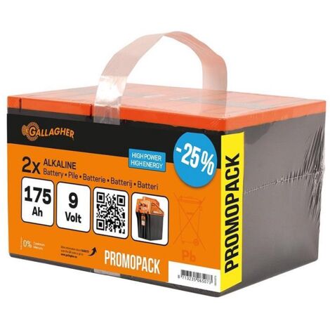 Picchetto messa a terra con supporto BA per elettrificatore B35 e B20 Gallagher
