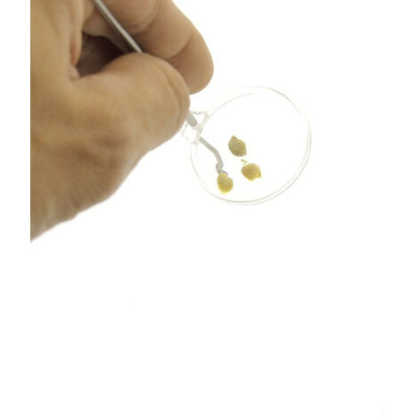 Picking en inox avec loupe