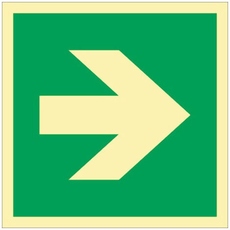 Pictogramme ASR A1.3/DIN EN ISO 7010/DIN 67510 L148xl148 mm - 9102KHL148