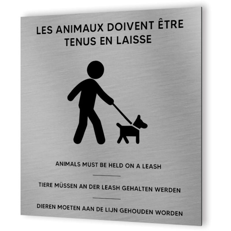 Pictogramme format 20 cm x 20 cm en Dibond Aluminium brossé - Modèle Chien en laisse multilingue