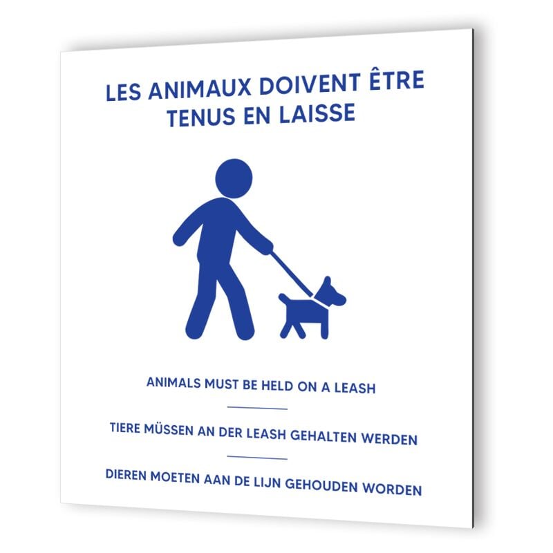Pictogramme format 20 cm x 20 cm en Dibond Blanc Picto Bleu - Modèle Animaux en laisse