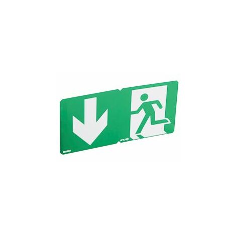 pictogramme pour baes et lsc uraone clipsable - 100 x 200 mm - ura 125032