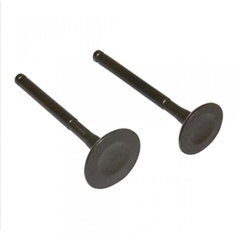 Pièce moteur diverse P2R pour Scooter SCOOT CHINOIS Neuf