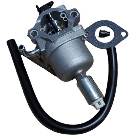 Pièces de rechange pour carburateur pour les modèles Briggs & Stratton 591731, 796109 et 594593 - compatibles avec les moteurs de 5 à 7 CV (tondeuses à gazon, motoculteurs, nettoyeurs haute pression).
