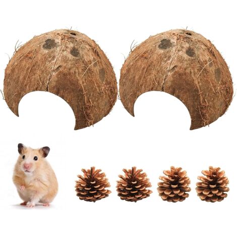 pièces demi-coquille de noix de coco, coquille de noix de coco comme élevage et cachette pour petits animaux, décor pour aquarium pour petits animaux (ø 10-14 cm)