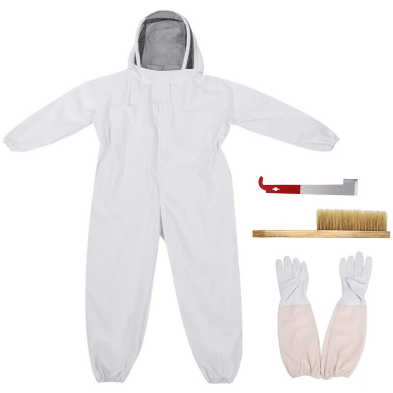 pièces Fournitures d'apiculture Outils Kit d'abeille Kit d'apiculture avec gants Grattoir à crochet en J en acier inoxydable Brosse de ruche Kit de