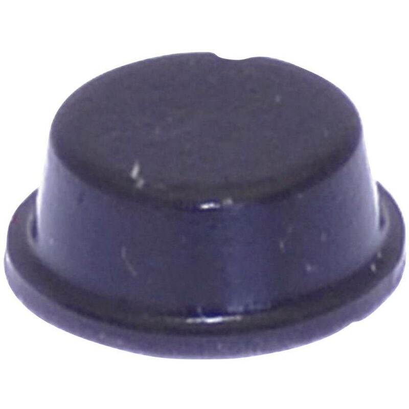 Pied d'appareil Toolcraft PD2104SW autocollant, rond noir (ø x h) 10 mm x 4 mm 1 pc(s) W79160