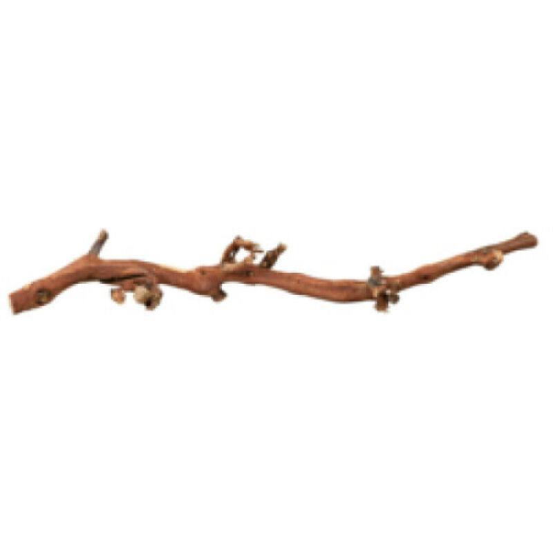 Pied de vigne, décapage à L'eau - M: 30-40 cm