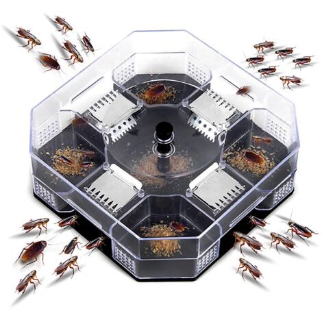 Piège à Cafards Réutilisable et Écologique pour Cuisine - Boîte Anti-Cafards Intérieur