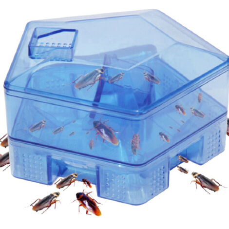 Piège à Cafards Réutilisable Non Toxique pour Cuisine et Maison - Boîte Attrape Insectes